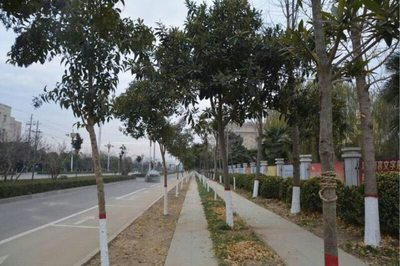 河南省西華縣“以人民為中心”精準推進城市管理