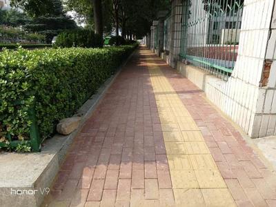 廣電快評:雙腿要勤、兩手要快、兩眼要準(zhǔn)、做事要細(xì)、作風(fēng)要實 推動“創(chuàng)城迎審”上新臺階
